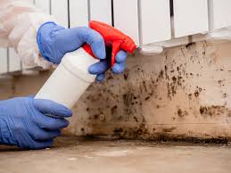 Best Mold Removal for HVAC Installations in USA